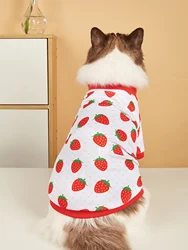 Camisa malla verano para gato y perro pequeño, estampado fruta