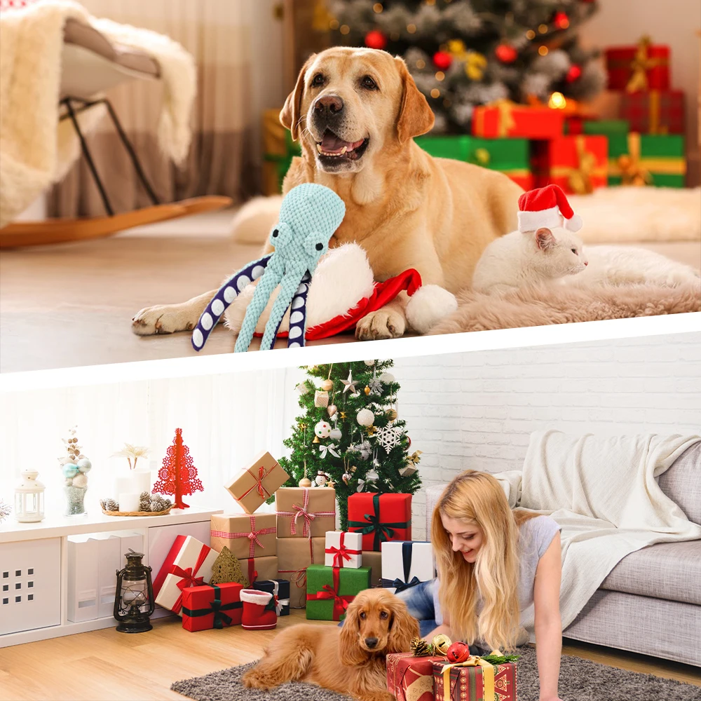 Mecanismo mostrando sistema chirriante para limpieza dental