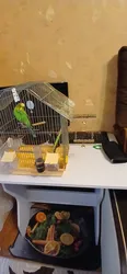 Imagen de reseña 1