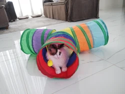Imagen de reseña 1