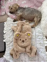 Imagen de reseña 1