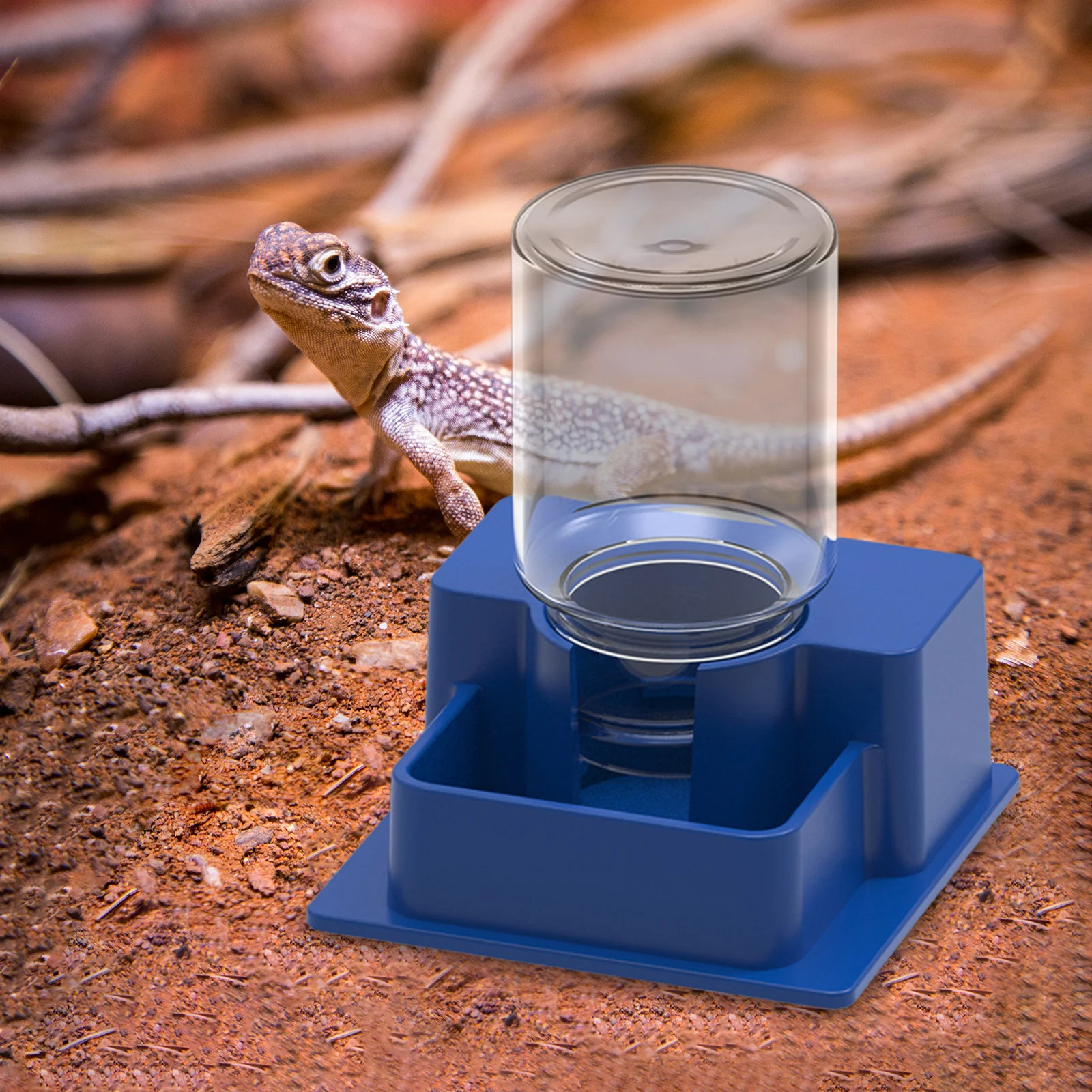 Dispensador automático de agua para reptiles con botella, botella de agua para reptiles, tortuga, plato de agua para anfibios, suministros de alimentación - imagen 3