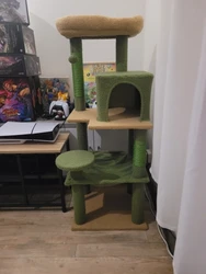 Imagen de reseña 1
