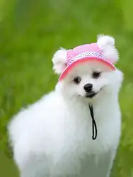 Gorro ajustable UV para perros, gatos pequeños y medianos