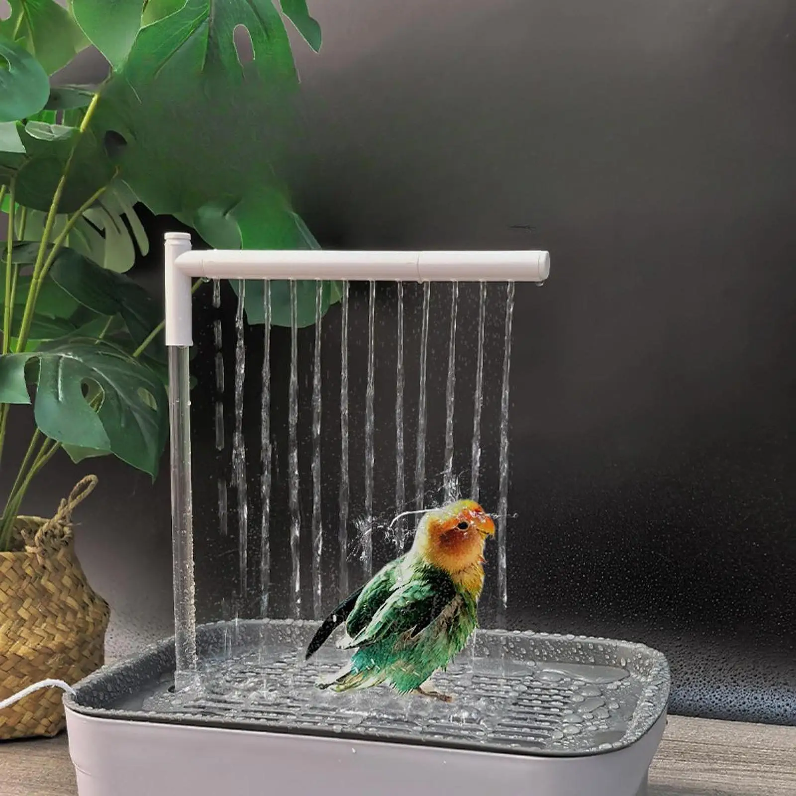 Automatic Bird Bathtub with Running Water USB Electric Bird Shower Box for Lovebird Ferret Cockatiel Bird Supplies
