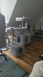 Imagen de reseña 1