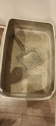 Imagen de reseña 2