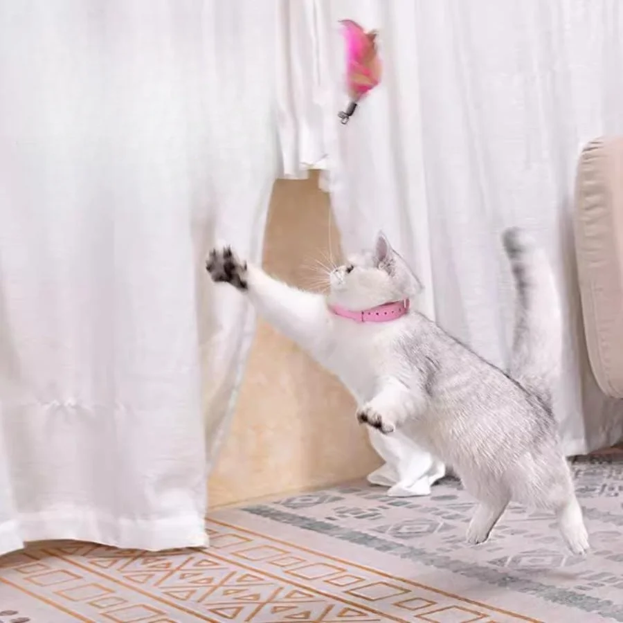 Nuevo Collar de silicona TPR con plumas para gatos, juguete para gatos, palo para gatos con llave automática, Collar para mascotas con pluma de campana - imagen 4