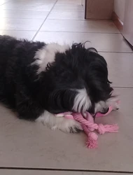 Imagen de reseña 1