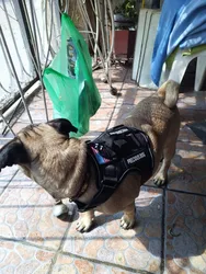 Imagen de reseña 2