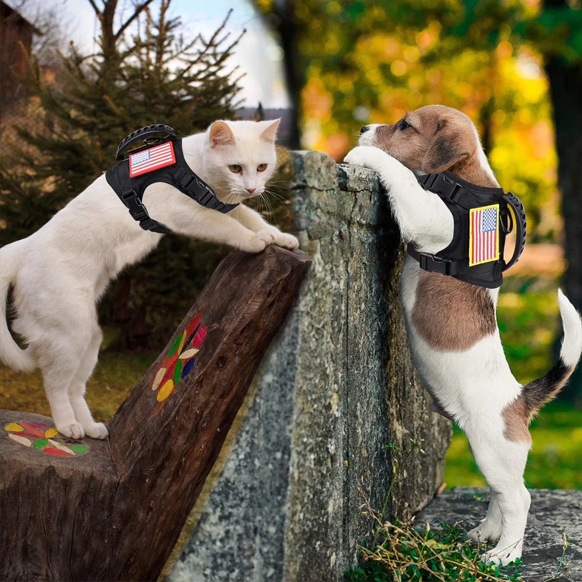 Arnés Chaleco Resistente para Perros y Gatos – Ajustable para Paseo y Entrenamiento - imagen 3