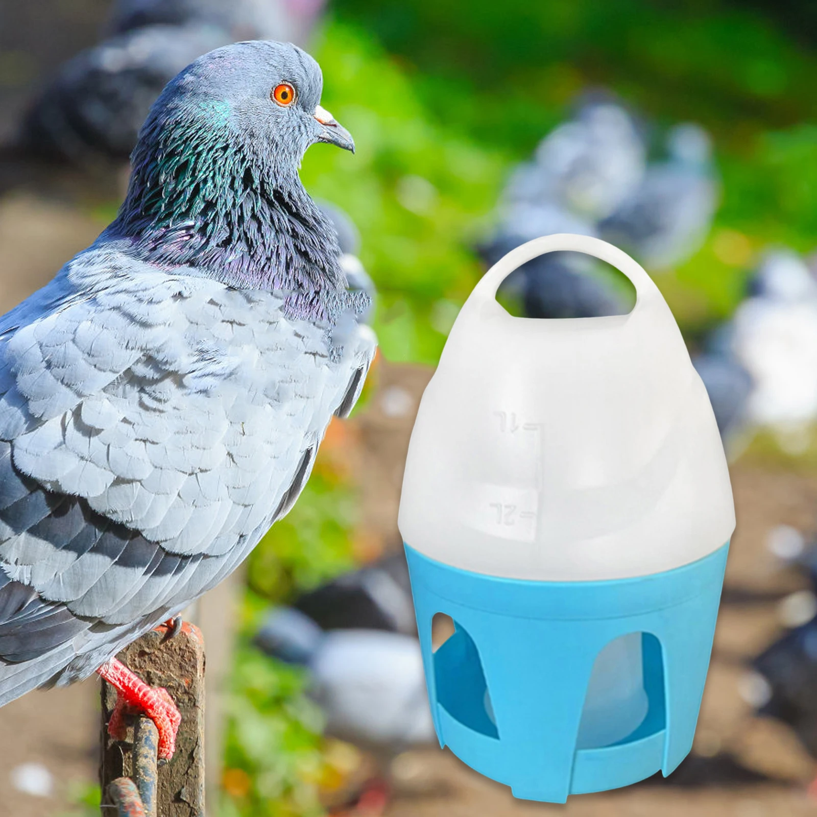 Dispensador de agua para palomas de gran capacidad, recipiente automático portátil para olla de agua para pájaros, para pato, pollos, paloma, suministros de alimentación canarios