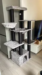 Imagen de reseña 2