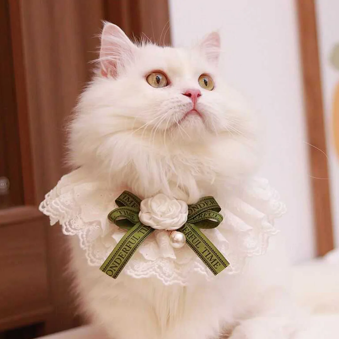 Elegant Pearl Cat Dog Collar Jewelled with Silk Ribbon Scarf Pendant Pet Bowtie Necklace for Puppy Kitten Bow Accessories Bowtie - imagen 4