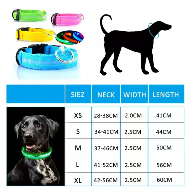 Collar LED para perros recargable USB con luz intermitente antiperdida - imagen 5