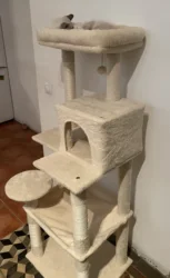 Imagen de reseña 1