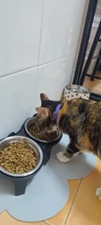 Imagen de reseña 5
