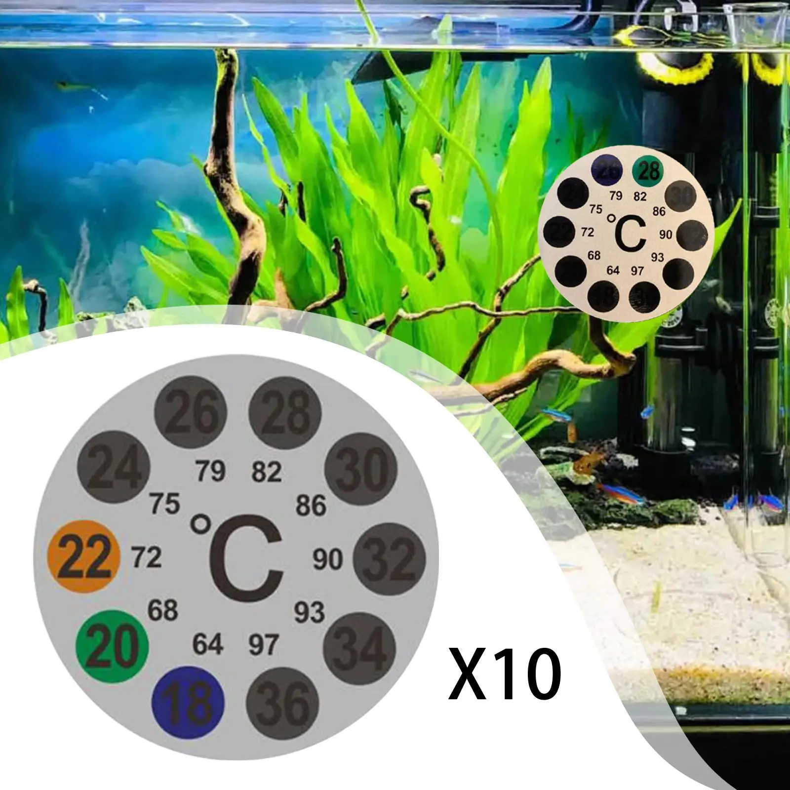 Termómetro adhesivo para acuario y terrario – Medidor de temperatura - imagen 2
