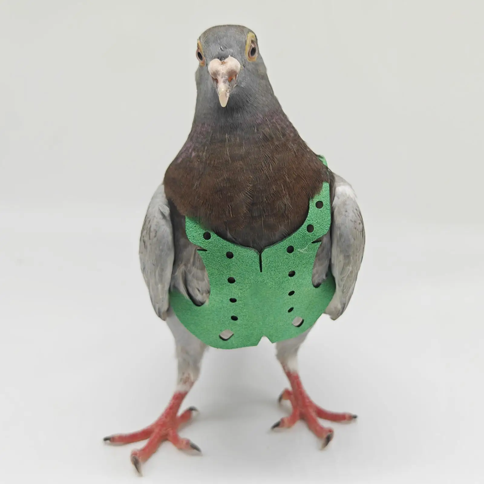 Juguete interactivo con plumas para gato – Entrenamiento con cuerda - imagen 2