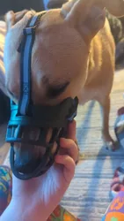 Imagen de reseña 1