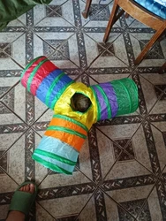 Imagen de reseña 1