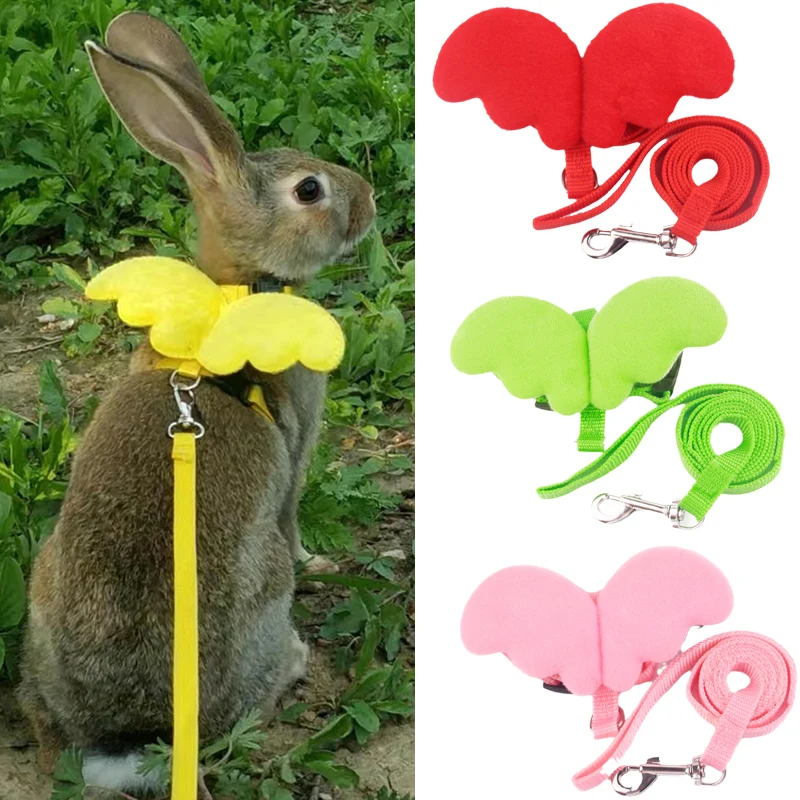 Arnés alas ángel para mascotas pequeñas - vista completa