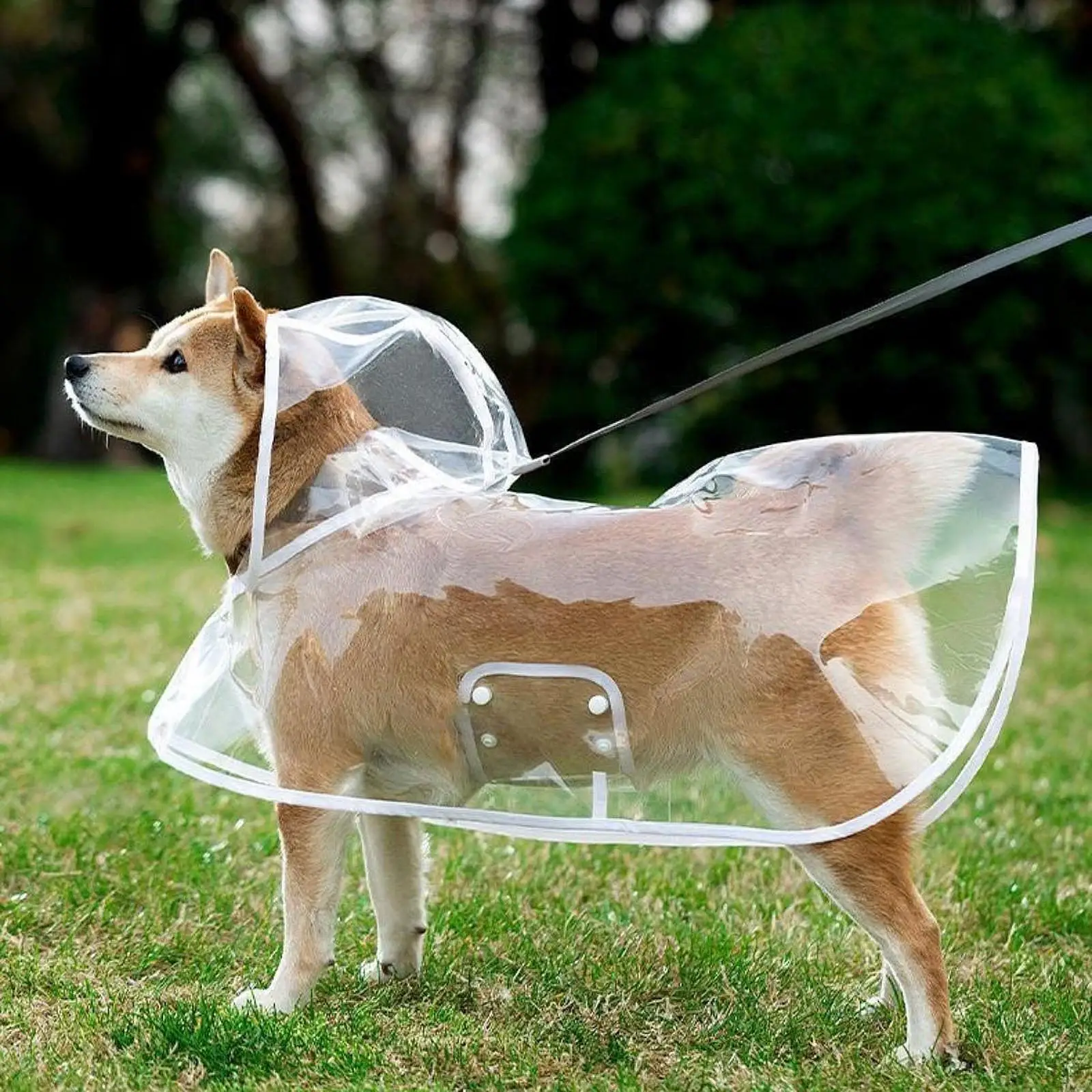 Chubasquero transparente de EVA para perros, Poncho transpirable para mascotas, impermeable, con capucha, para cachorros, suministros para mascotas para perros pequeños y medianos