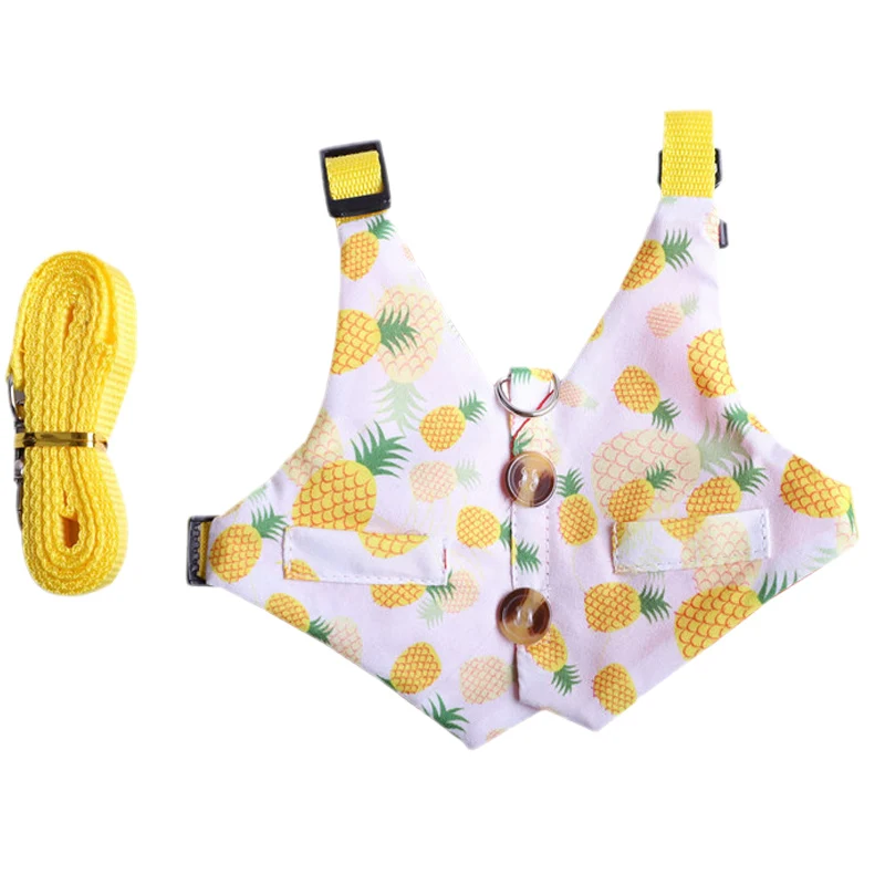Conjunto de arnés y correa con estampado bonito de conejo y gato Littel, arneses para caminar al aire libre para mascotas, conejos y tazas de té, ropa para perros - imagen 4