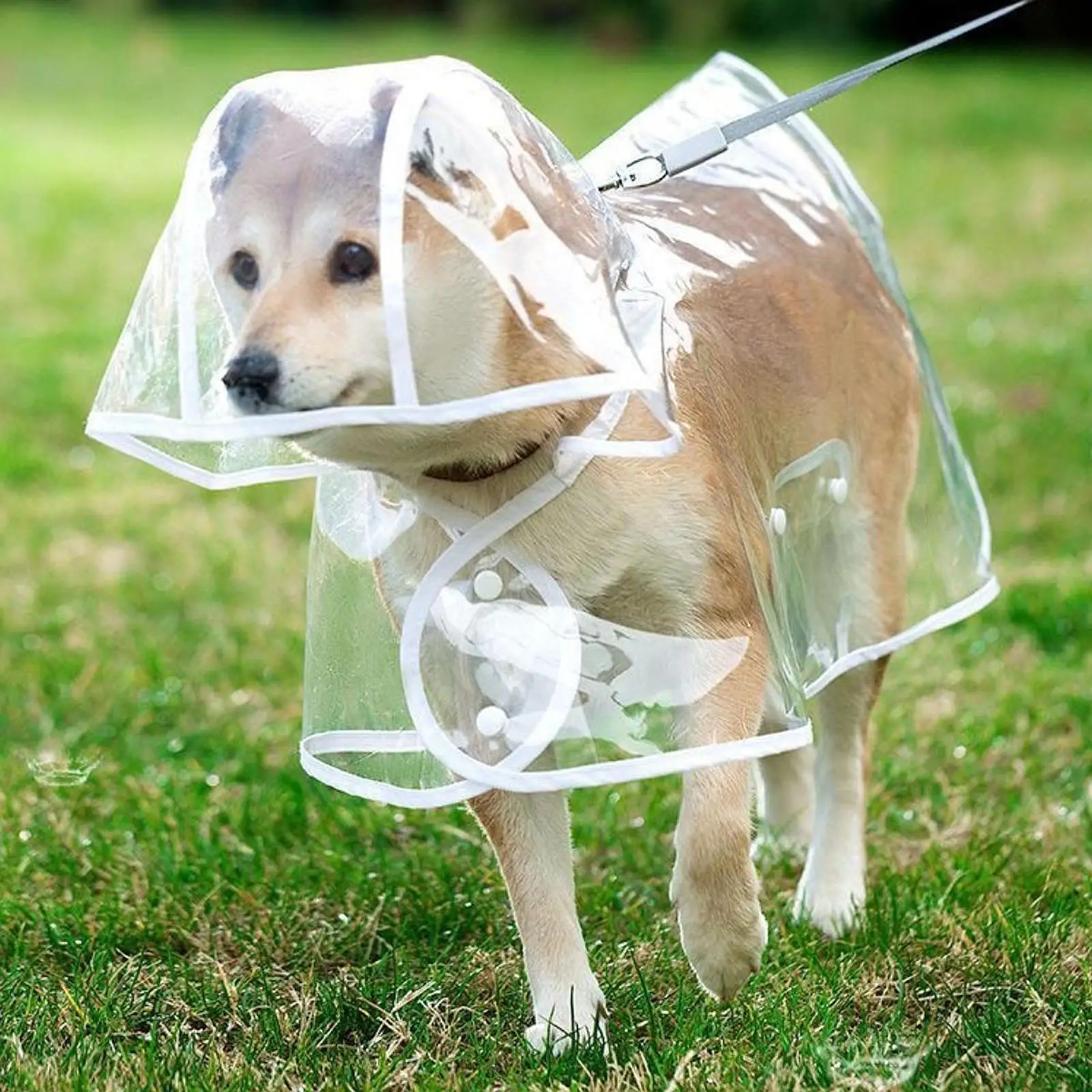 Chubasquero transparente de EVA para perros, Poncho transpirable para mascotas, impermeable, con capucha, para cachorros, suministros para mascotas para perros pequeños y medianos - imagen 2