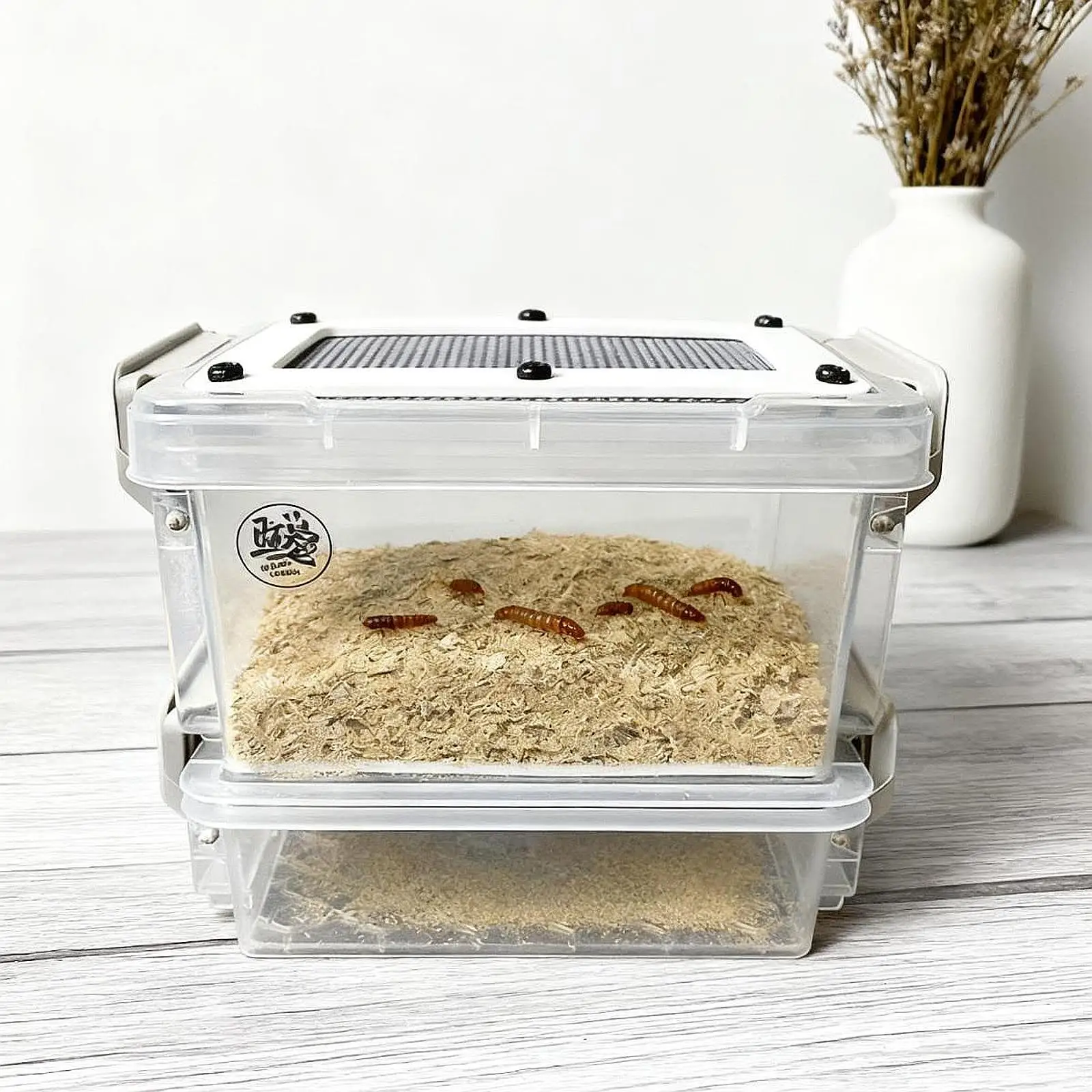 Caja de alimentación de cucarachas transparente, caja de cría de gusanos de comida reutilizable, Mini contenedor de gusanos de comida para terrario de mascotas, contenedor para incubar