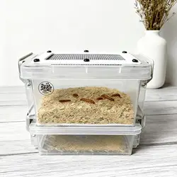 Recipiente transparente reutilizable para criar cucarachas en terrario
