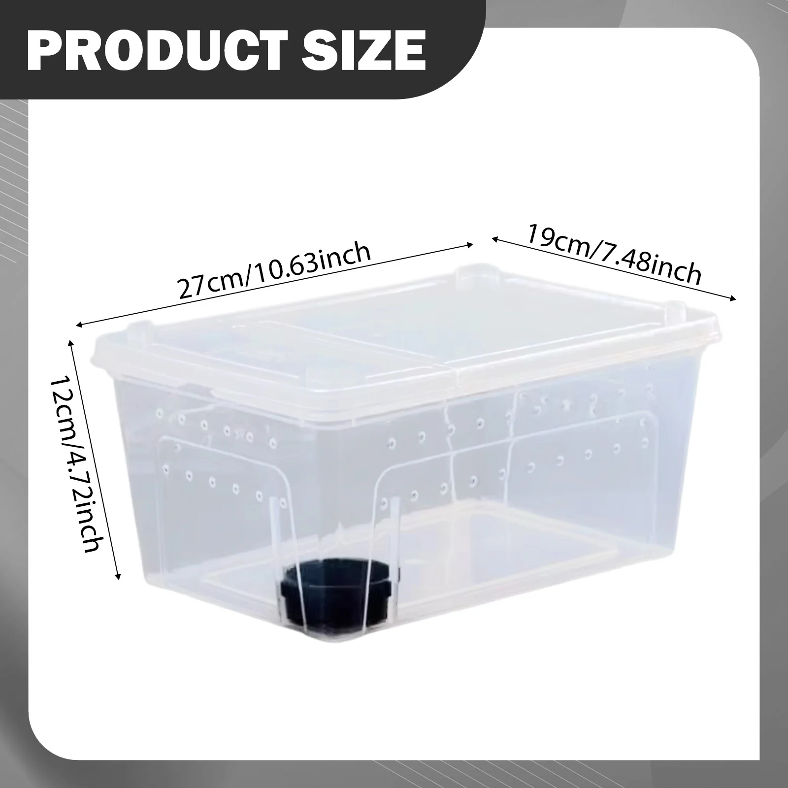 Caja transparente para cría de reptiles, terrario transparente, hábitat, árbol, rana, contenedor para incubar, Scorpion Gecko, Mini suministros para mascotas - imagen 5
