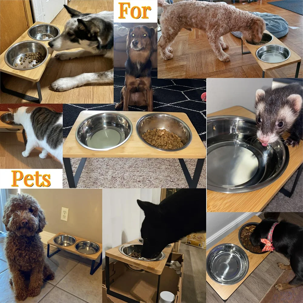 Cuencos elevados inclinados para gatos con 2 platos de acero inoxidable, comedero doble para mascotas, gatos, gatitos, perros pequeños, antideslizante, fácil de limpiar - imagen 5