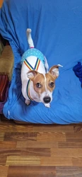 Imagen de reseña 1