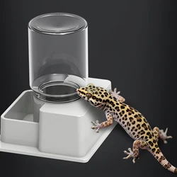 Fuente dispensador automático de agua para reptiles