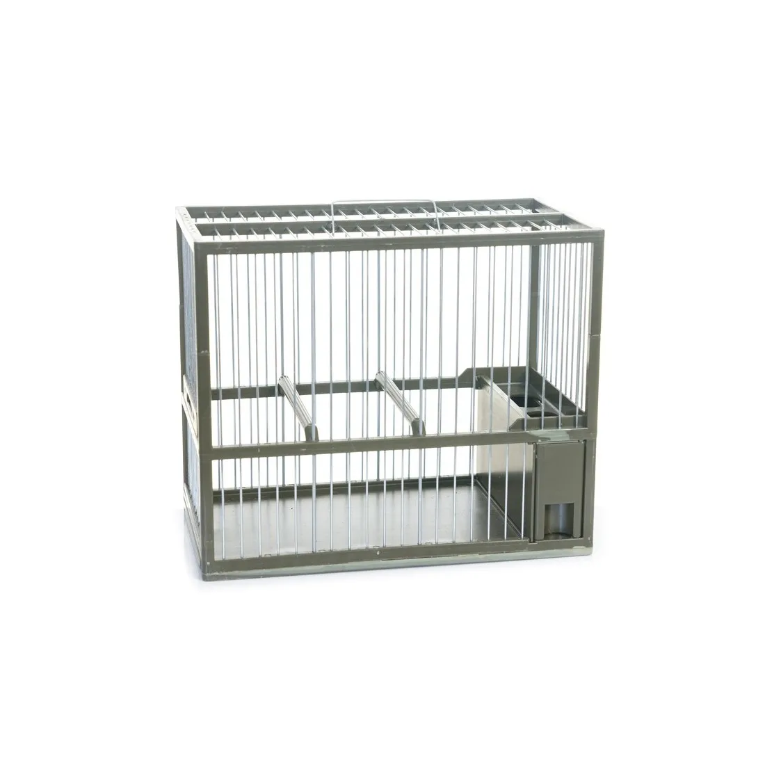 Jaula silvestrismo tamaño C2, para jilgueros, pardillos, verderones, jaula concurso - imagen 4