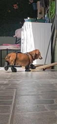 Imagen de reseña 3