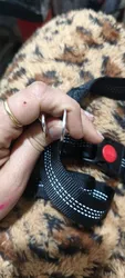 Imagen de reseña 3