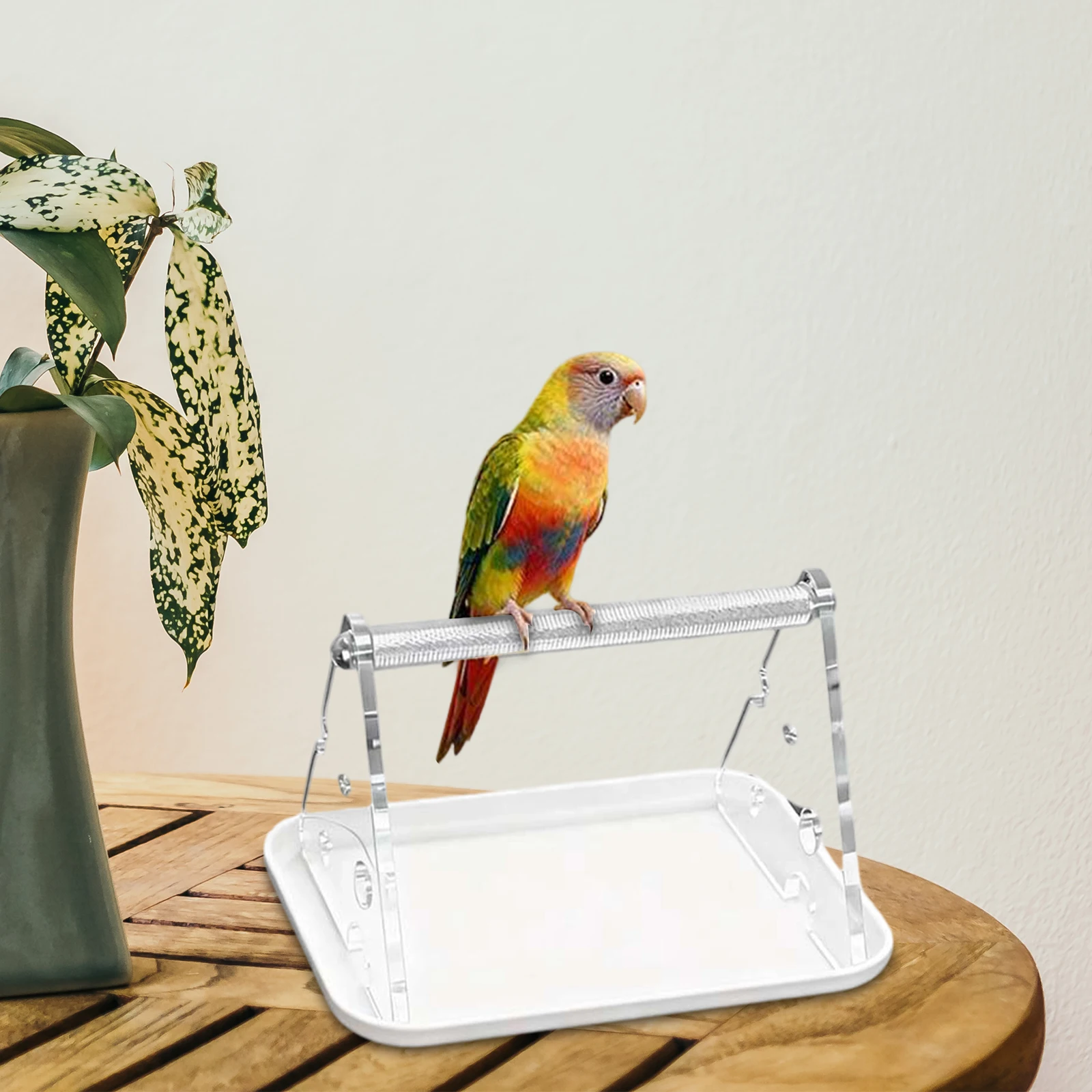 Percha portátil para pájaros - Accesorios de jaula y entrenamiento - imagen 3