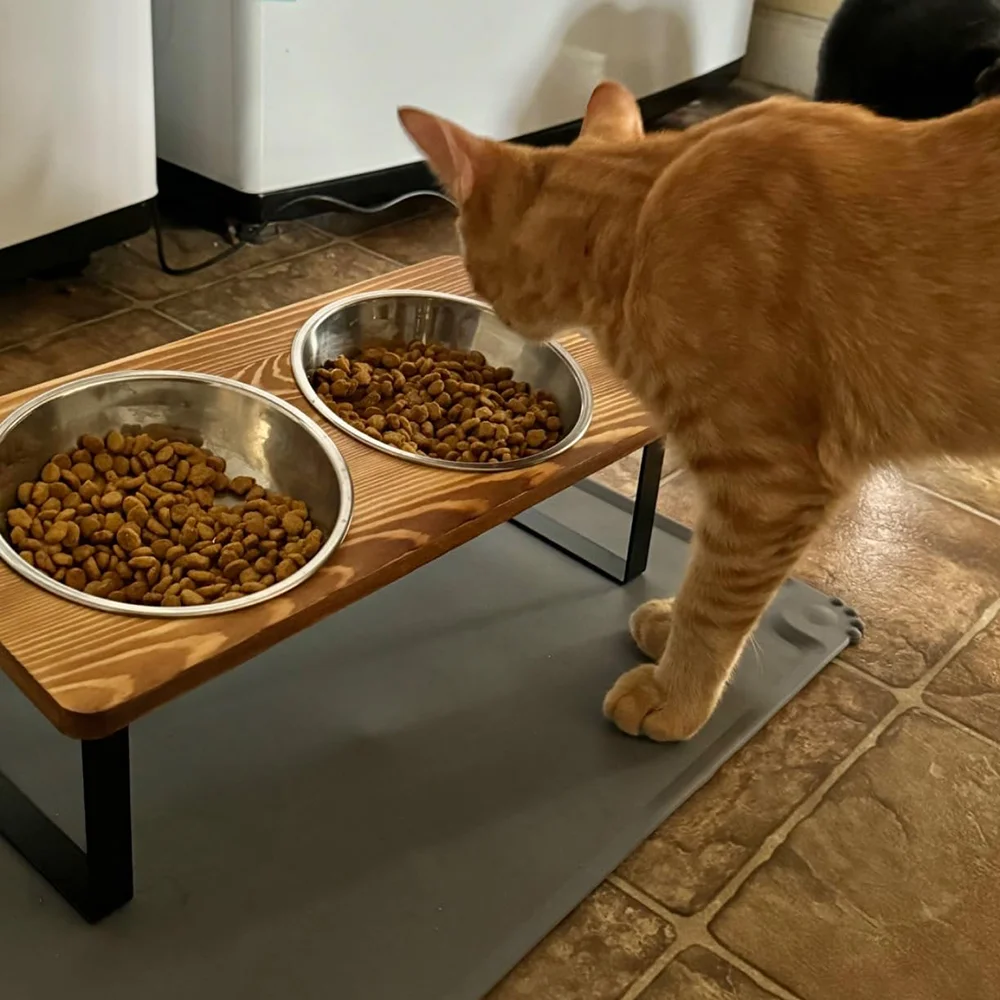Cuenco 2 en 1 para gatos, cuencos elevados de madera, plato de agua para comida para gatos, soporte de madera antideslizante, accesorios para cuencos de alimentación para gatos y perros