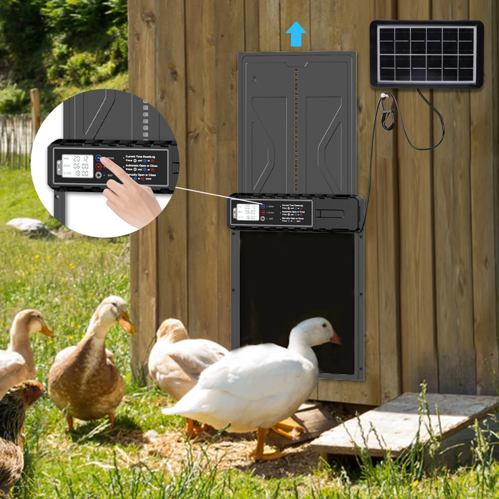 Puerta automática impermeable para gallinero con temporizador de pantalla grande, puerta eléctrica para pollo y pato para cría de aves de corral - imagen 2