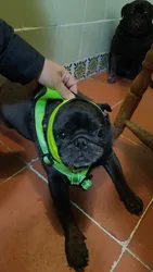 Imagen de reseña 1