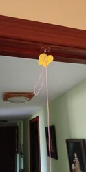 Imagen de reseña 1