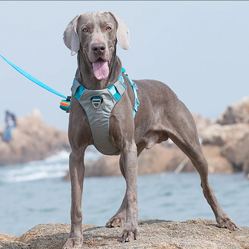 Arnés portátil para perros medianos, Correa frontal sin tirones, Clip para cachorros, accesorios para mascotas - imagen 4
