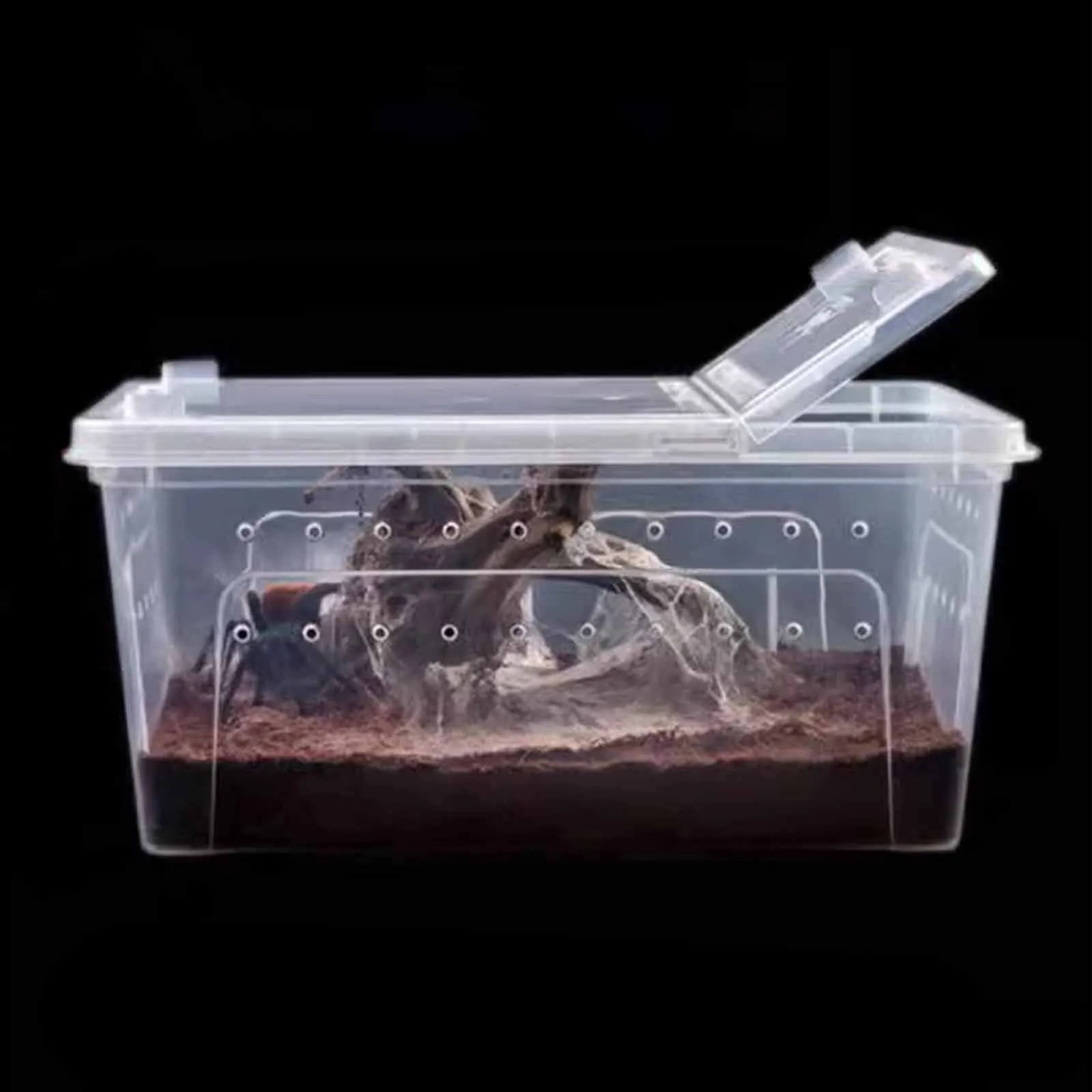 Caja transparente para cría de reptiles, terrario transparente, hábitat, árbol, rana, contenedor para incubar, Scorpion Gecko, Mini suministros para mascotas - imagen 2