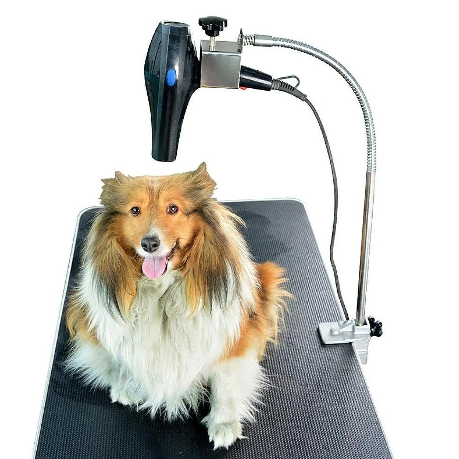 Soporte para secador de pelo de perros y gatos de acero inoxidable con abrazadera, tubo de manguera ajustable, soporte para el cuidado de gatos, accesorios para el cuidado de mascotas - imagen 2