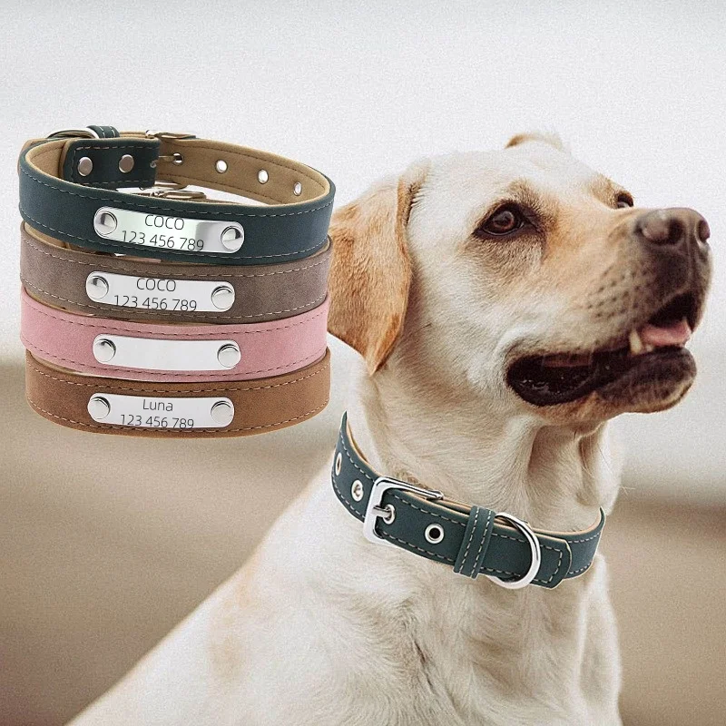Collar antipérdida personalizado con nombre grabado para gatos y perros - imagen 5