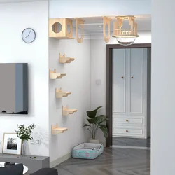 Casita trepadora de pared para gatos — Estante y escondite vertical