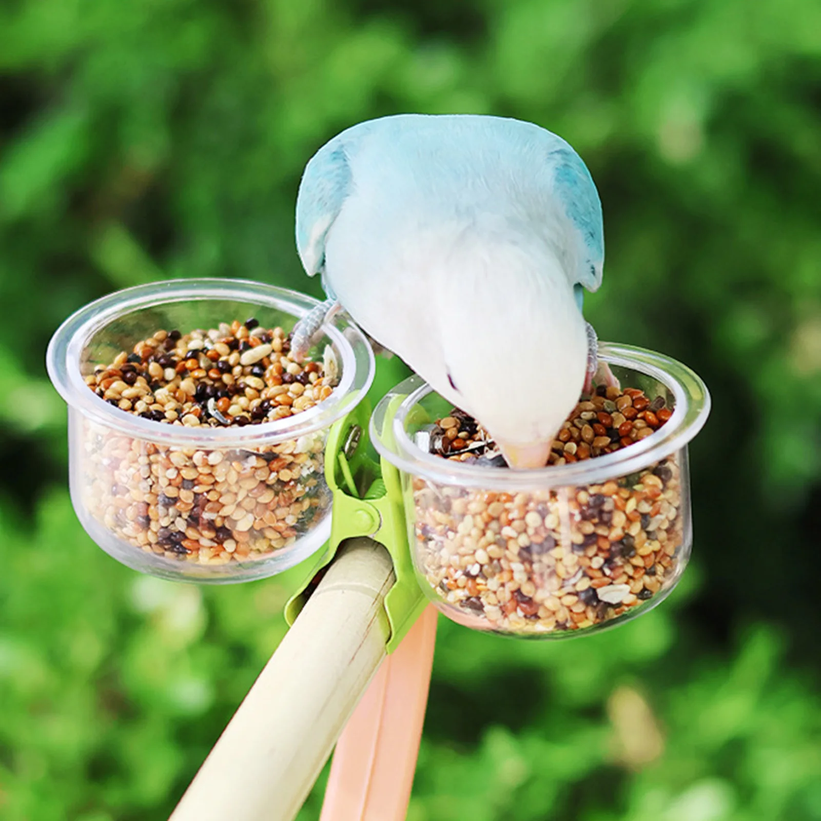 Tazas de alimentación de aves con Clip, tazas de alimentación de aves, cuencos de agua y comida para cacatúas, guacamayos, suministros para pájaros, 2 uds. - imagen 3