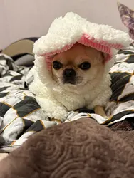 Imagen de reseña 2